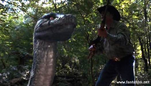 boa vs python betty boa vs python betty